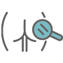 Icon 1