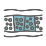 Icon 3
