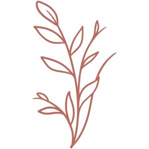 Natural results A minimalist line drawing of a leafy botanical sprig with thin stems and several oval leaves, rendered in a muted rose-pink color.