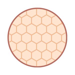 skin thickness A circular icon featuring a stylized, peach-colored hexagonal grid pattern, representing the cellular structure of skin layers or skin density.